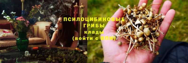 Галлюциногенные грибы Magic Shrooms  Североморск 